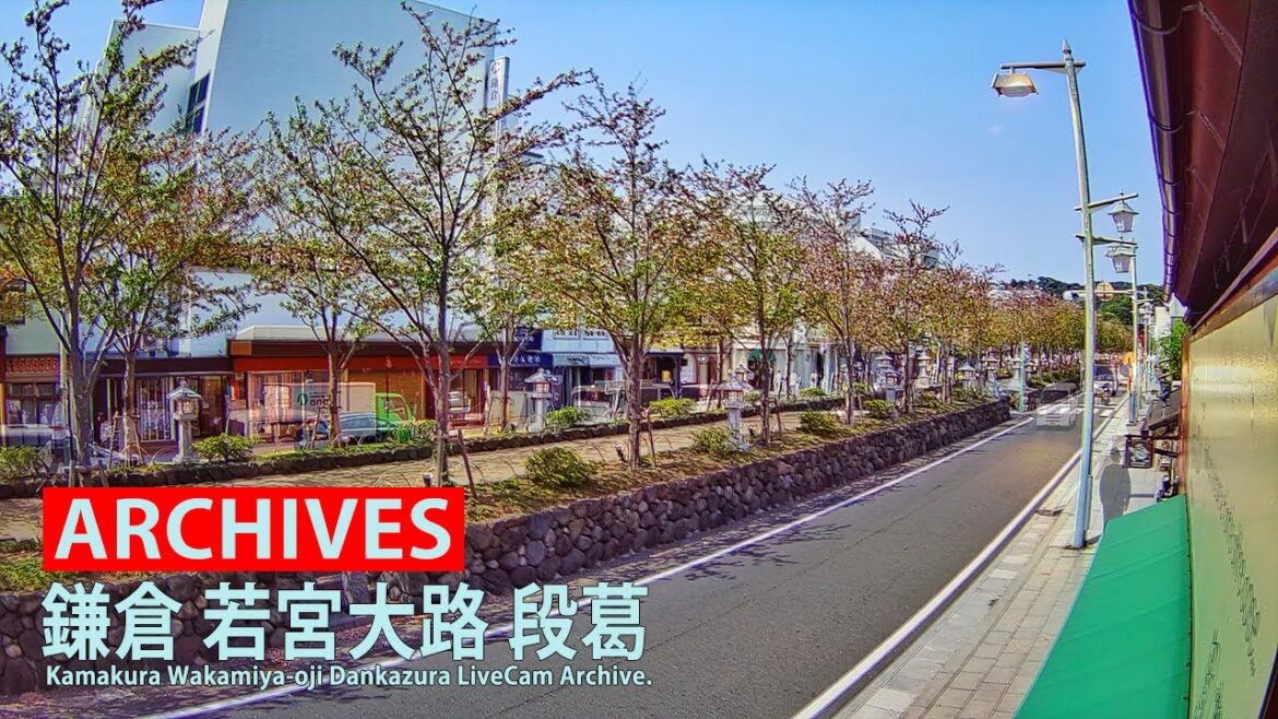 【アーカイブ専用配信】鎌倉 小町 若宮大路 「段葛」ライブカメラ 24/7　Kamakura Dankazura LiveCam Archive 2022-10-16-11:00~
